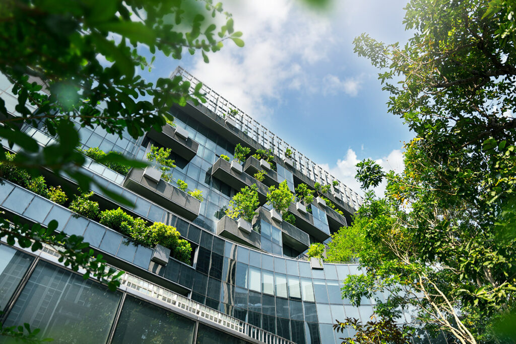 consigli per ufficio green